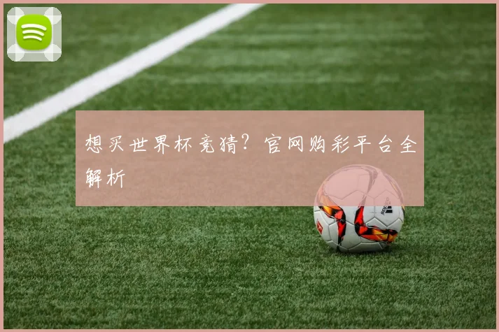 想买世界杯竞猜?官网购彩平台全解析